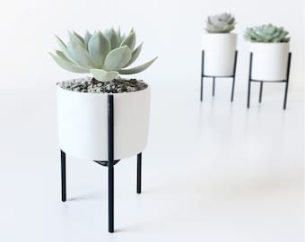 Vaso da fiori con supporto in metallo | Vaso moderno per piante grasse | Vaso minimalista in ceramica | Supporto per piante nero, bianco e oro