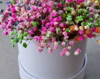 Box with dried flowers