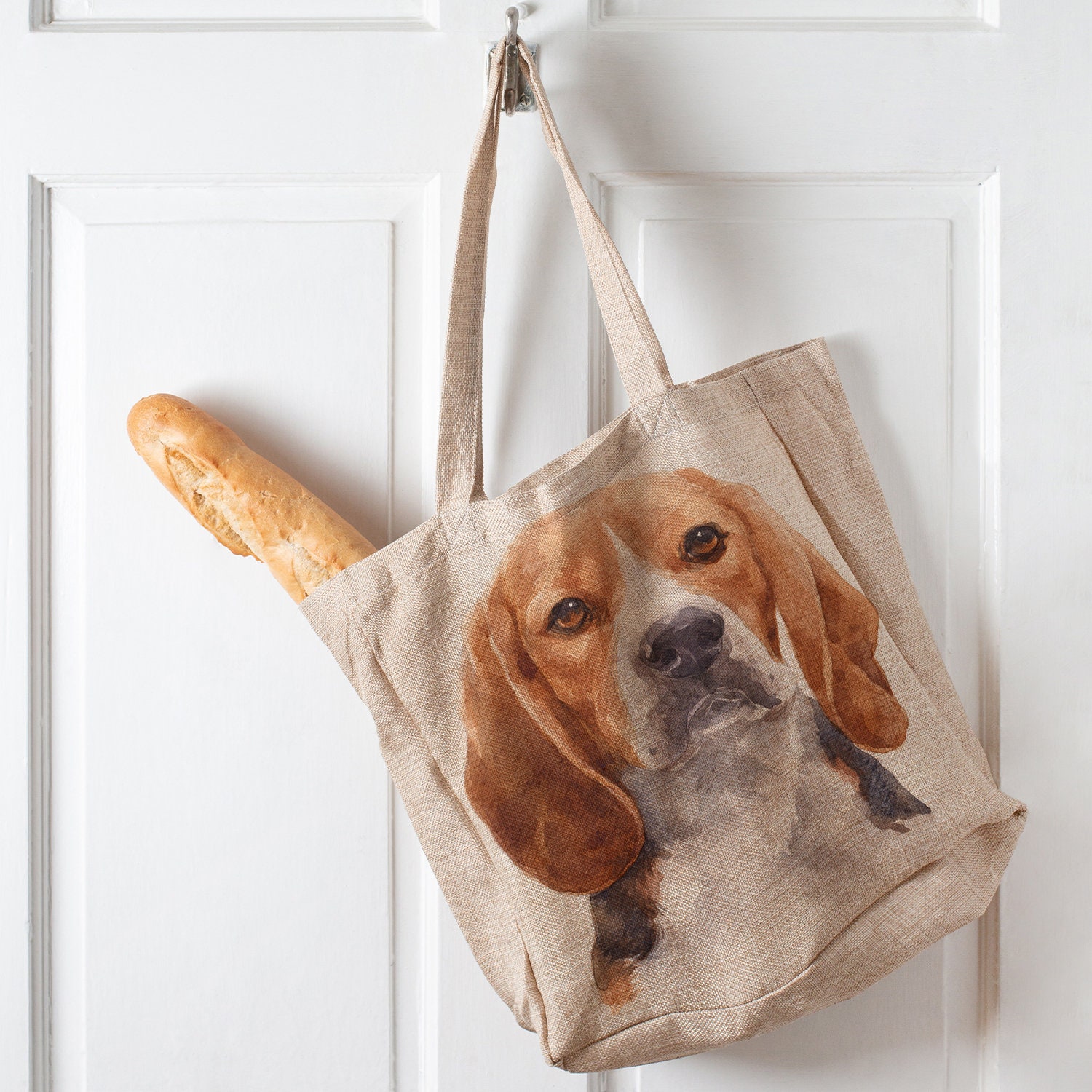 Backpack Beagle 🎒 : r/beagle