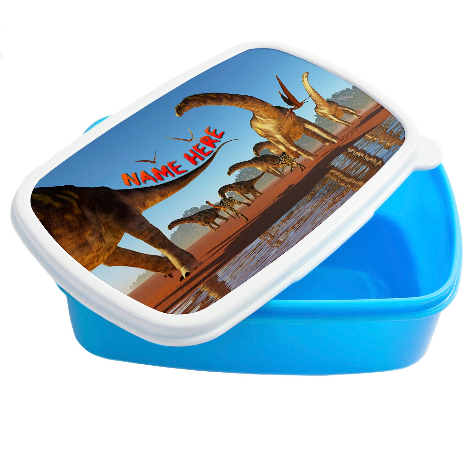 Personalised dinosaur lunch box sale