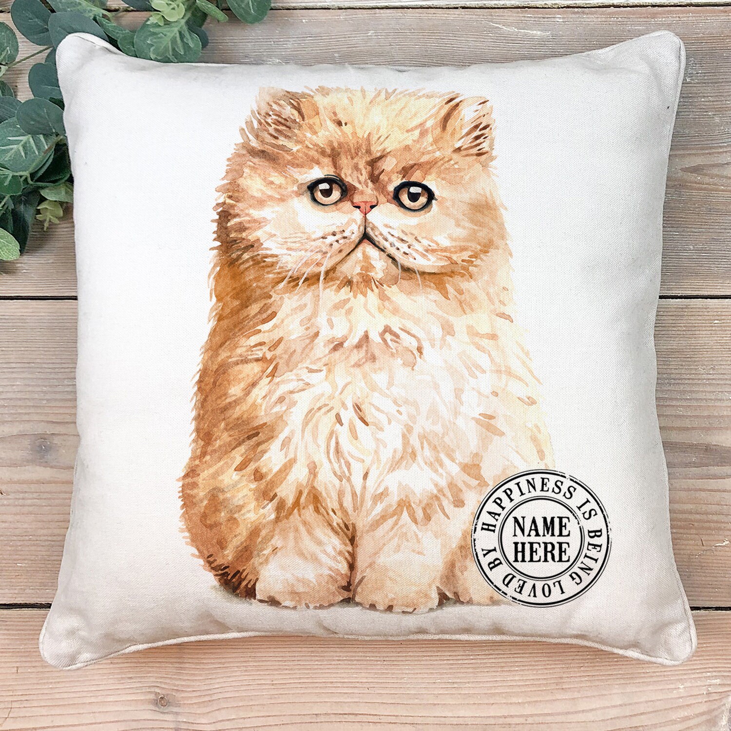 Personalised Cat Cushion Cover Persian Kitten Portrait Etsy UK