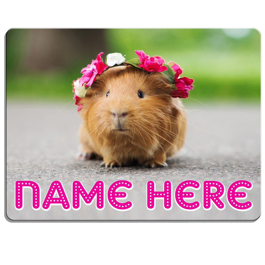 Guinea Pig Door Sign Bedroom Name Plaque Personalised Girls Room Childrens KD26 Etsy