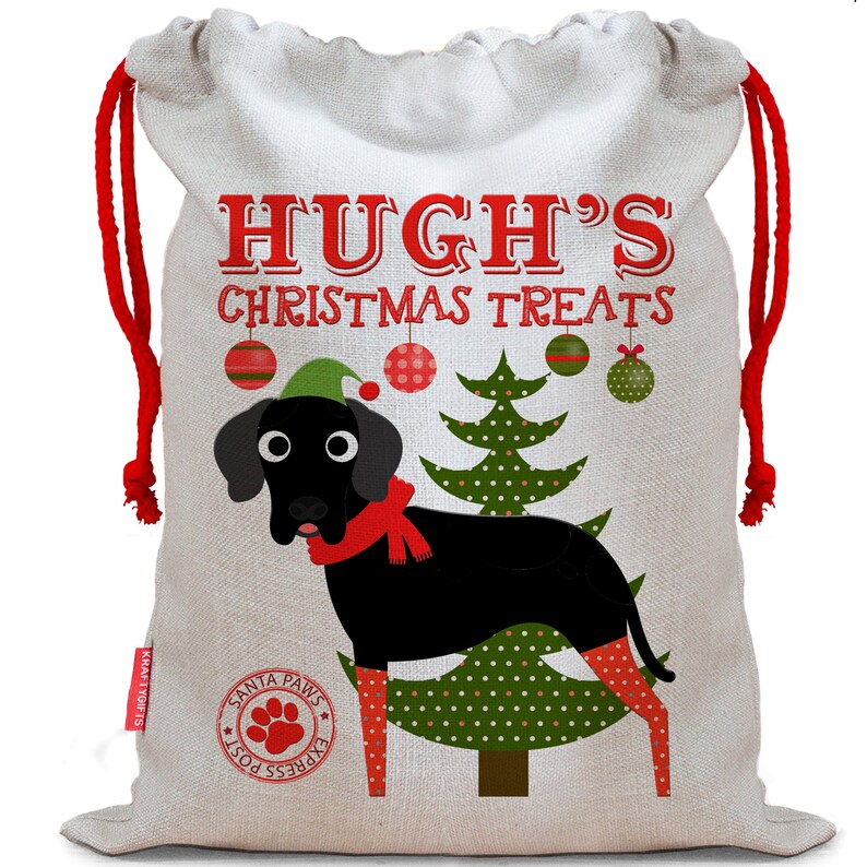 Personalised Dog Santa Sack GREAT DANE Christmas Bag Xmas Treat Gift CDS16