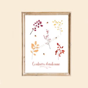 Herbier d'automne