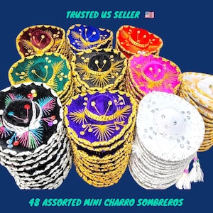 48 sombrero sombreros farblich sortiert mariachi sombrero samt fiesta hat charro rot 15 cm Durchmesser