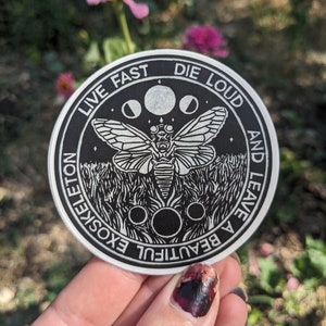 Sticker cigale « Vivez vite, mourez fort et laissez un bel exosquelette »