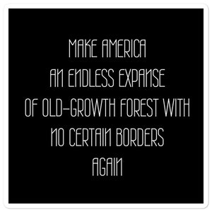 May include: Black and white text on a black background that reads "MAKE AMERICA AN ENDLESS EXPANSE OF OLD-GROWTH FOREST WITH NO CERTAIN BORDERS AGAIN".