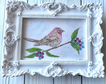 Original framed watercolor Lavender Finch Bird painting