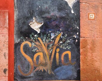 San Miguel de Allende, México - ("Savia")