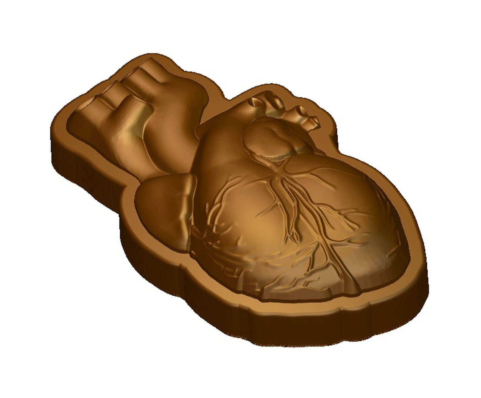 Anatomic heart STL File for 3D printers and CNC router Saint Etsy