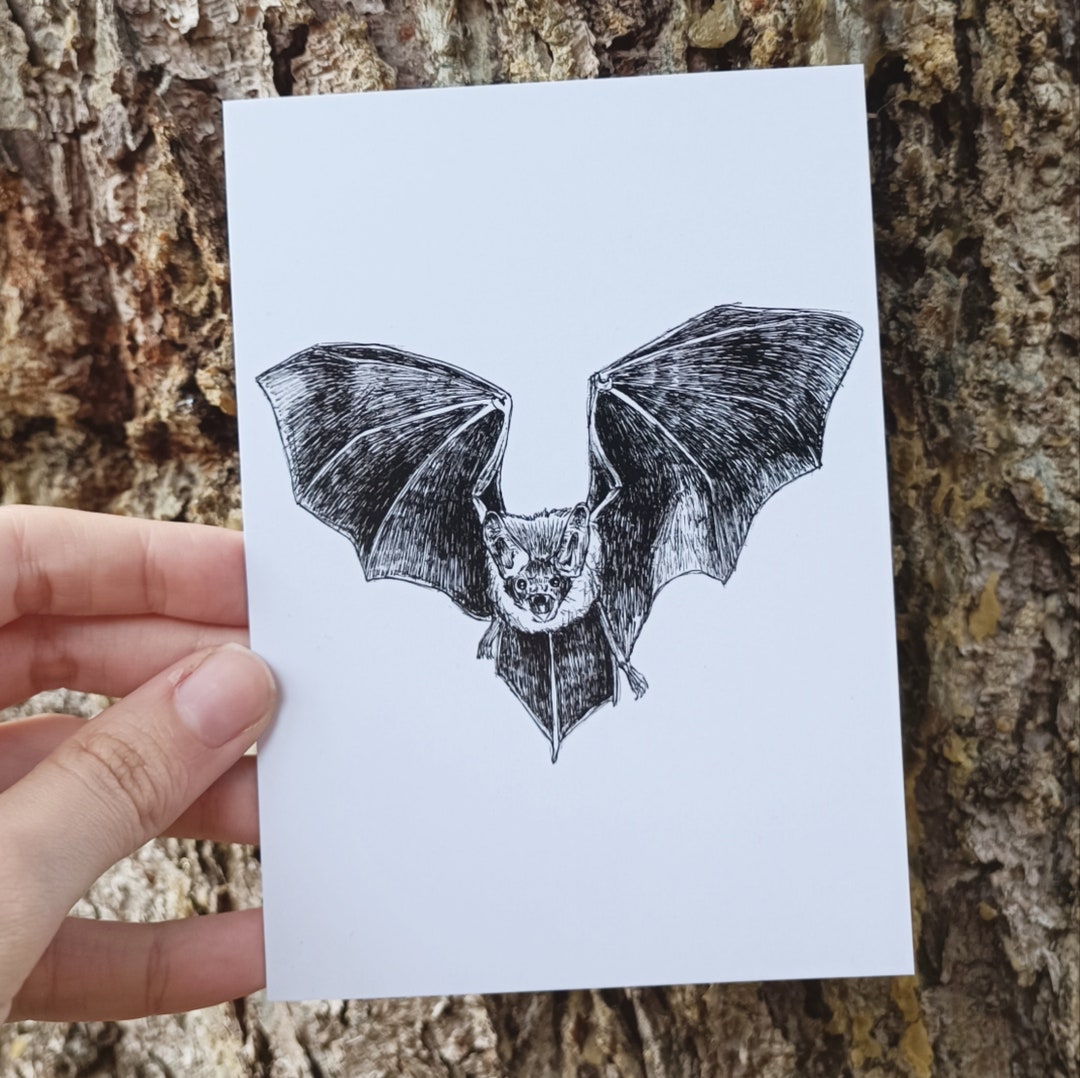 Bat - Postcard Print - Etsy