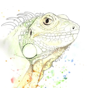 Impresión de arte de reptil de edición limitada firmada - Lagarto Iguana verde