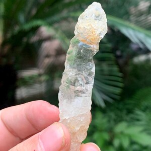 May include: A clear, elongated crystal with a rough, textured surface. The crystal has a pale yellow hue at the top, transitioning to a translucent, colorless base. The crystal is held in a hand against a blurred green background.