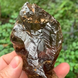 Puede incluir: Un cristal de cuarzo ahumado en bruto y natural. El cristal es de color marrón translúcido con estrías internas visibles y una superficie facetada. El fondo es verde borroso, lo que sugiere un entorno al aire libre. El cristal se sostiene en una mano.