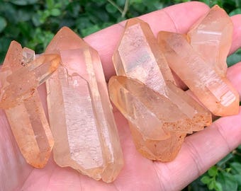 May include: A hand holds several orange-tinted quartz crystal points. The crystals vary in size and shape, with visible facets and natural textures. The background is blurred green foliage.