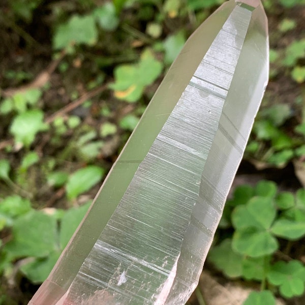 Super Clear Lemurian Muzo Quartz Crystal toverstaf/Sterke helende energie/Zeldzaam The Dow Quartz Specimen/Natuurlijk Muzo kristal voor collectie 5,44"