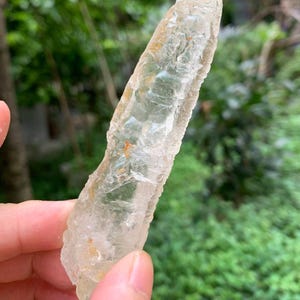 Puede incluir: Un cristal claro y alargado con una superficie rugosa y texturizada. El cristal tiene una apariencia p&aacute;lida y transl&uacute;cida con toques de amarillo y naranja. El cristal se sostiene contra un fondo verde borroso.