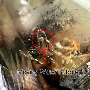 Herkimer Diamond Quartz/Movable Water Bubble Included/Double Terminated Crystal/Fenster Quartz/Lucky Quartz 71g 50*42*38mm Water Bladder