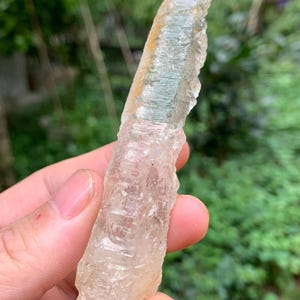 Puede incluir: Un cristal claro y alargado con una superficie rugosa y texturizada. El cristal tiene un tono amarillo p&aacute;lido con &aacute;reas de claridad transl&uacute;cida. La formaci&oacute;n natural se sostiene contra un fondo verde borroso.