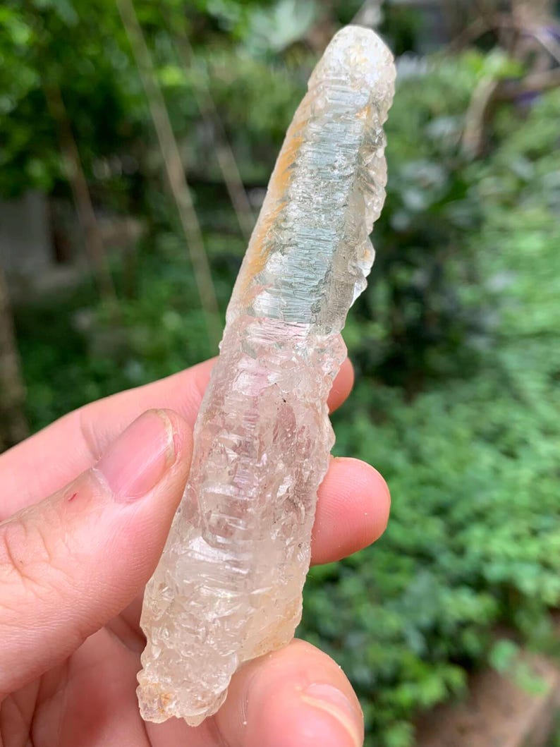 Puede incluir: Un cristal claro y alargado con una superficie rugosa y texturizada. El cristal tiene un tono amarillo p&aacute;lido con &aacute;reas de claridad transl&uacute;cida. La formaci&oacute;n natural se sostiene contra un fondo verde borroso.