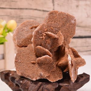 desert rose,red gypsum,rose selenite, Rose Rock, and Sand Rose 252g natural selenite flower