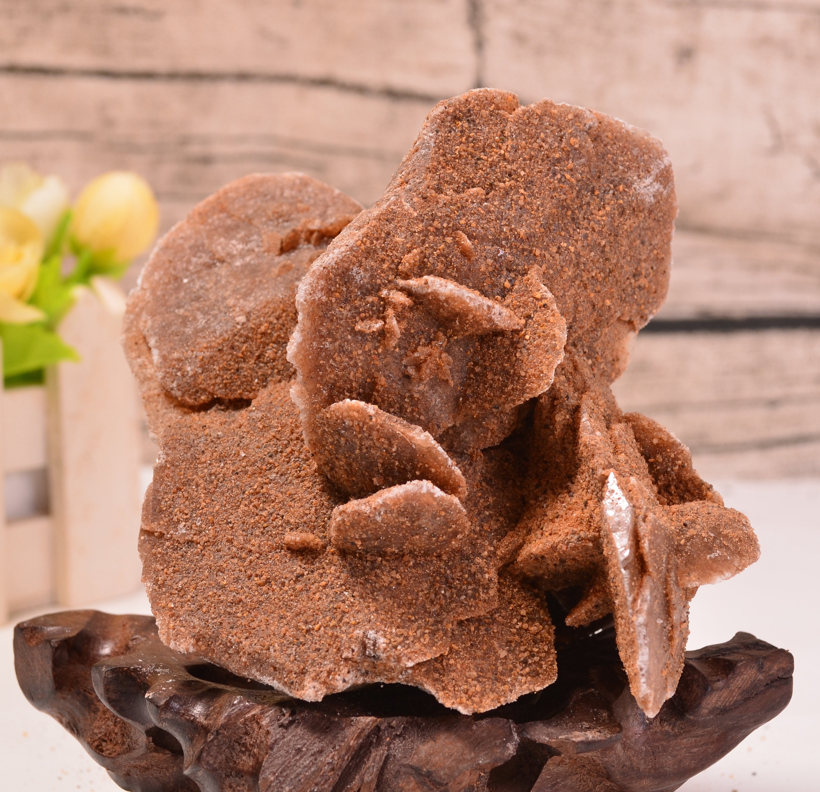 最高品質砂漠のバラ（Desert Rose Gypsum) 石膏 Grand Erg