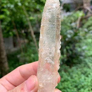 Puede incluir: Un cristal claro y alargado con una superficie rugosa y texturizada. El cristal se sostiene contra un fondo verde borroso, mostrando su forma natural y en bruto. El color del cristal es beige p&aacute;lido y transl&uacute;cido.