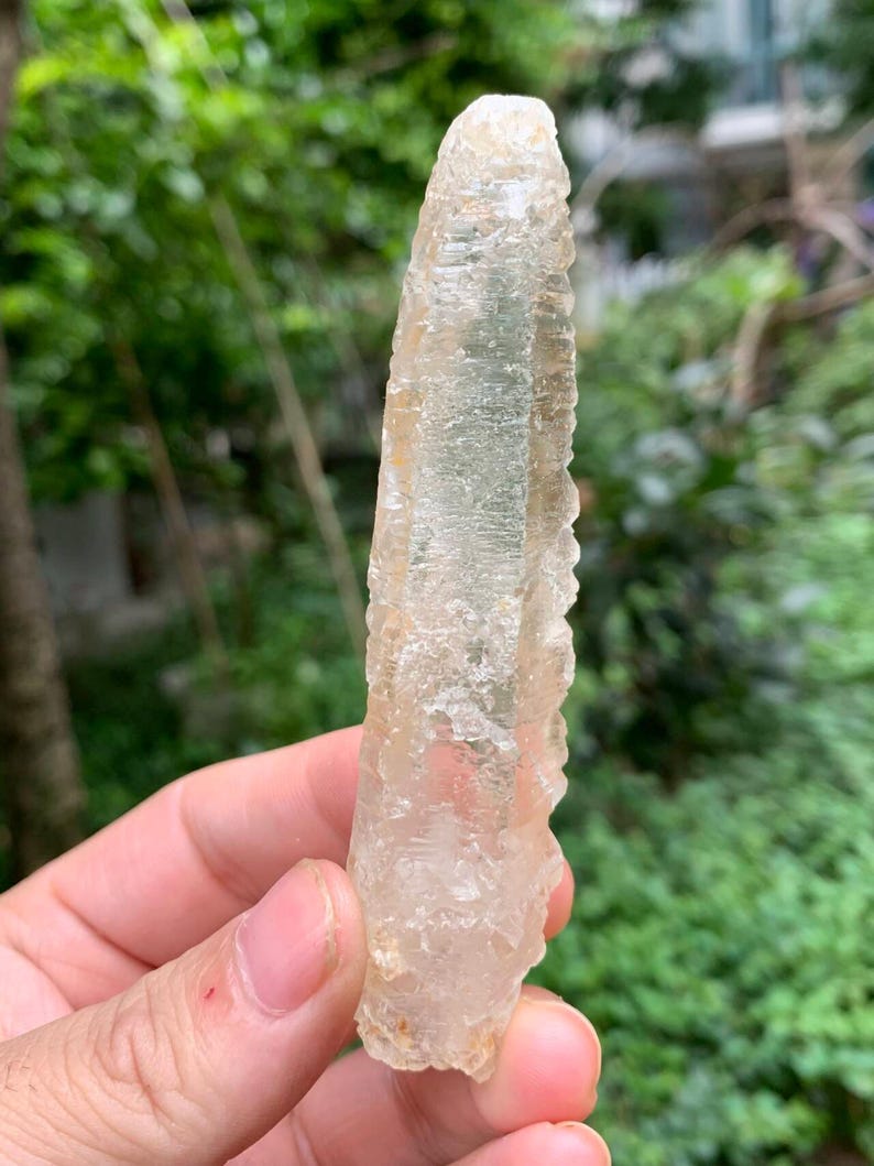 Puede incluir: Un cristal claro y alargado con una superficie rugosa y texturizada. El cristal se sostiene contra un fondo verde borroso, mostrando su forma natural y en bruto. El color del cristal es beige p&aacute;lido y transl&uacute;cido.