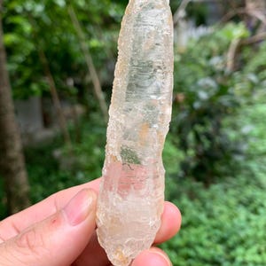 Puede incluir: Un cristal claro y alargado con una superficie rugosa y texturizada. El cristal se sostiene en una mano, con un fondo verde borroso de follaje. El color del cristal es beige p&aacute;lido y transl&uacute;cido.