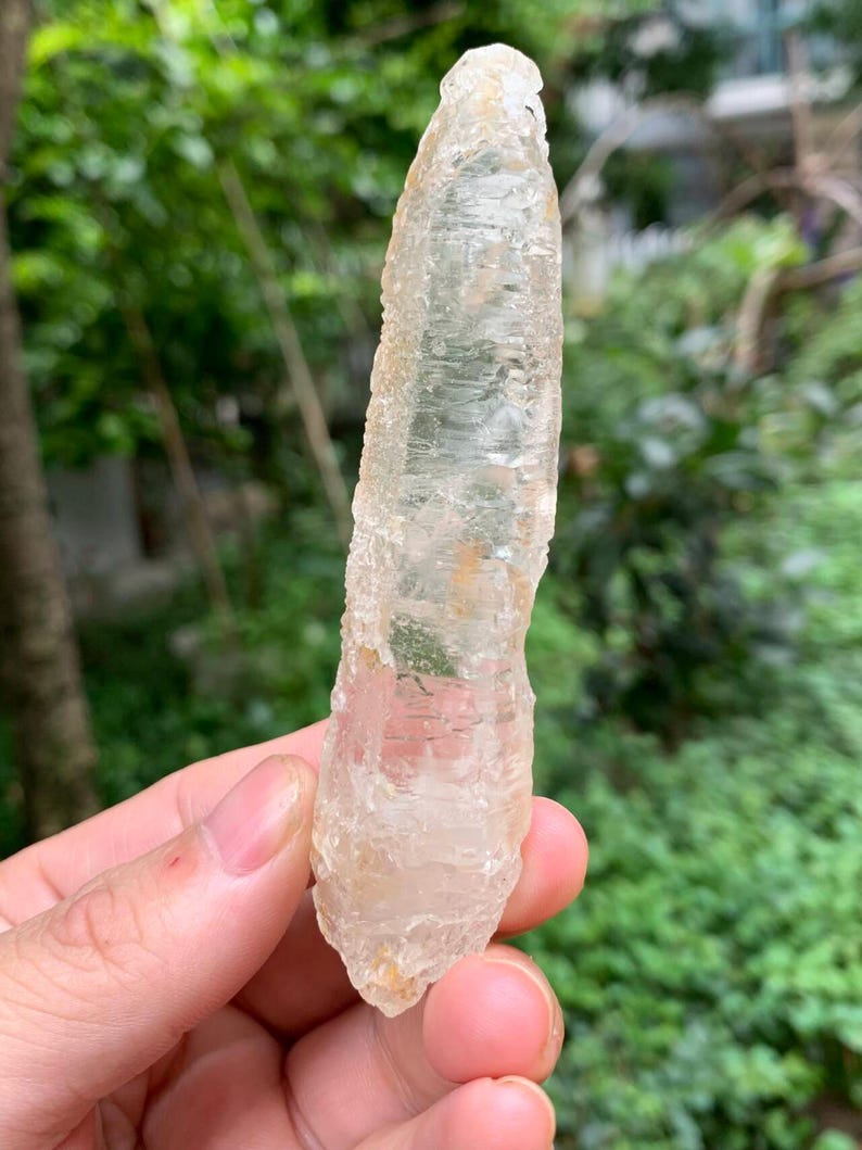 Puede incluir: Un cristal claro y alargado con una superficie rugosa y texturizada. El cristal se sostiene en una mano, con un fondo verde borroso de follaje. El color del cristal es beige p&aacute;lido y transl&uacute;cido.