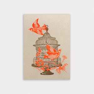 Postkarte / Vogelkäfig / Ökopapier