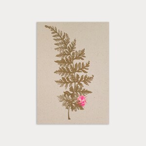 Postal / Helecho con mariquita / Papel ecológico