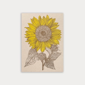 Carte postale / Tournesol / Papier écologique