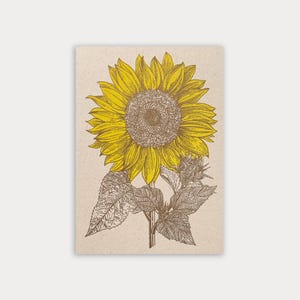 Postkarte / Sonnenblume / Ökopapier