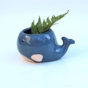 Pflanztopf Wal Deko Topf Blumentopf