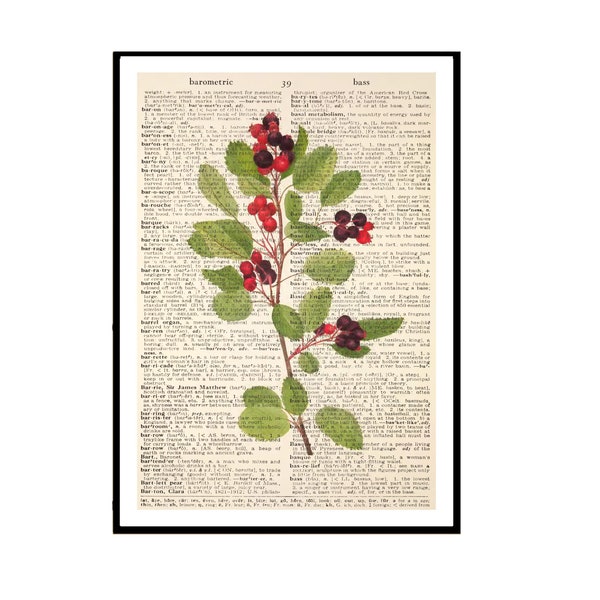 Dictionary Print Beeren Obst botanical Collage Wandkunst Wanddeko Poster Vintage
