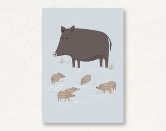 Postcard wild boar