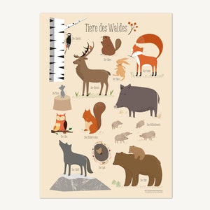 Waldtiere, Poster DIN A3