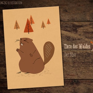 VERKOOP - Ansichtkaart Bever
