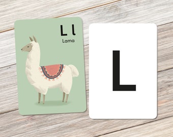 Animal alphabet: L like Lama