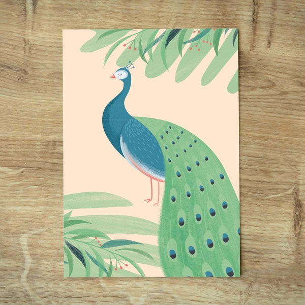 Postkarte Pfau