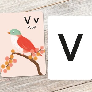 Animal alphabet: V like Vogel image 1