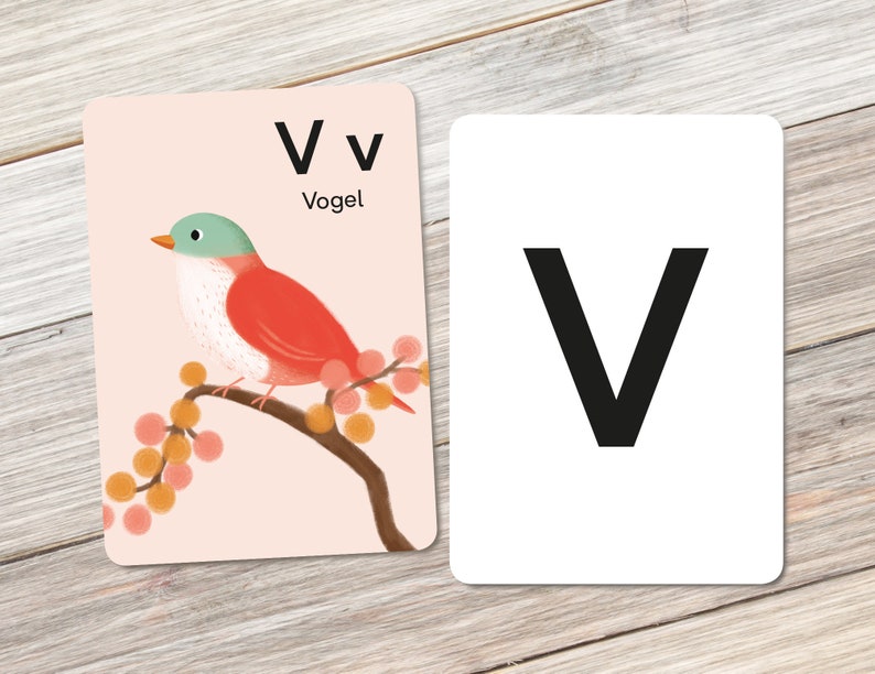 Animal alphabet: V like Vogel image 1