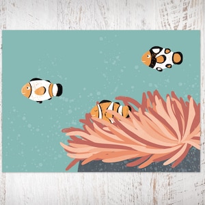 Postcard clownfish