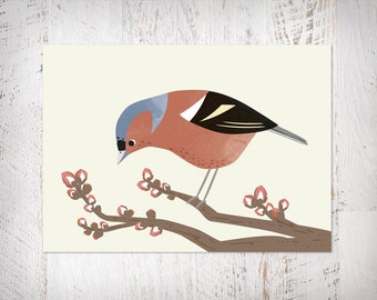 Postcard Chaffinch