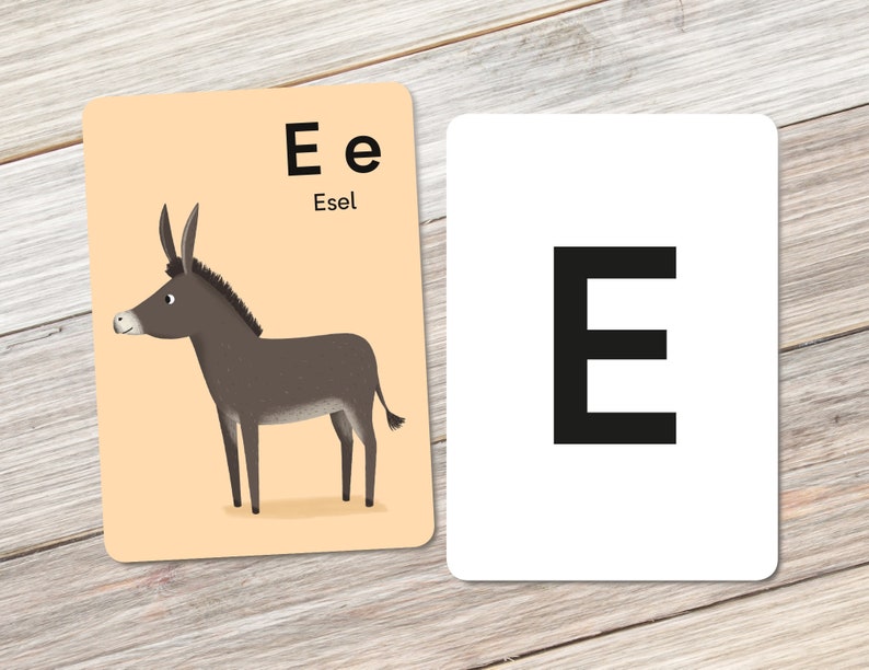 Animal alphabet: E like Esel donkey imagem 1