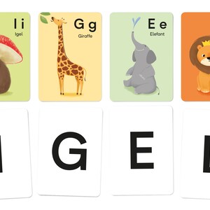 Animal alphabet: V like Vogel image 2
