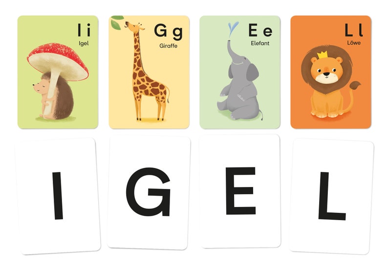Animal alphabet: V like Vogel image 2