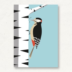 Postal animales del bosque pájaro carpintero