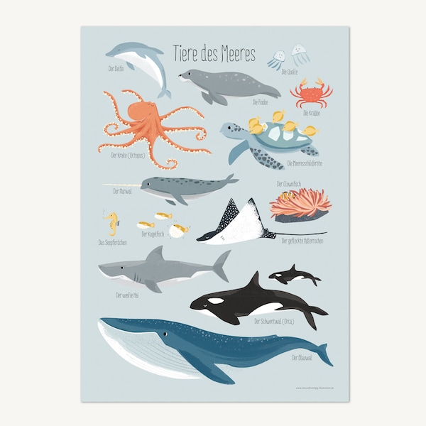 Animals of the Sea, Poster A3